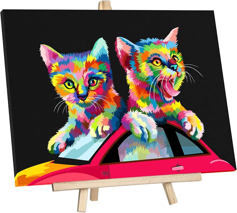 Photo 1 of JingZhouYang Paint by Numbers for Kids & Adults & Beginner Painting Gift Kits - 16"×12" Colorful cat and car Framed