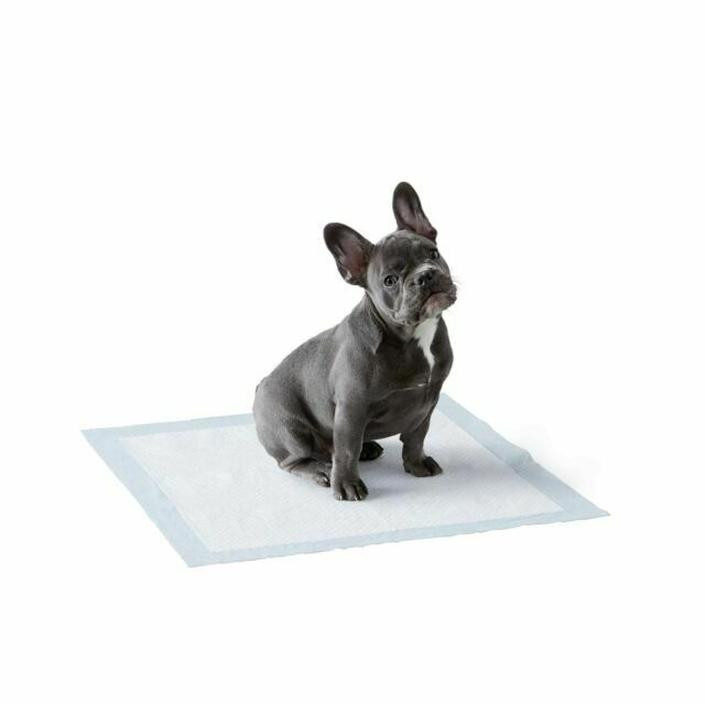 Photo 1 of AmazonBasics Dog and Puppy Pee Potty Training Pads Regular Absorbancy 150-Count
