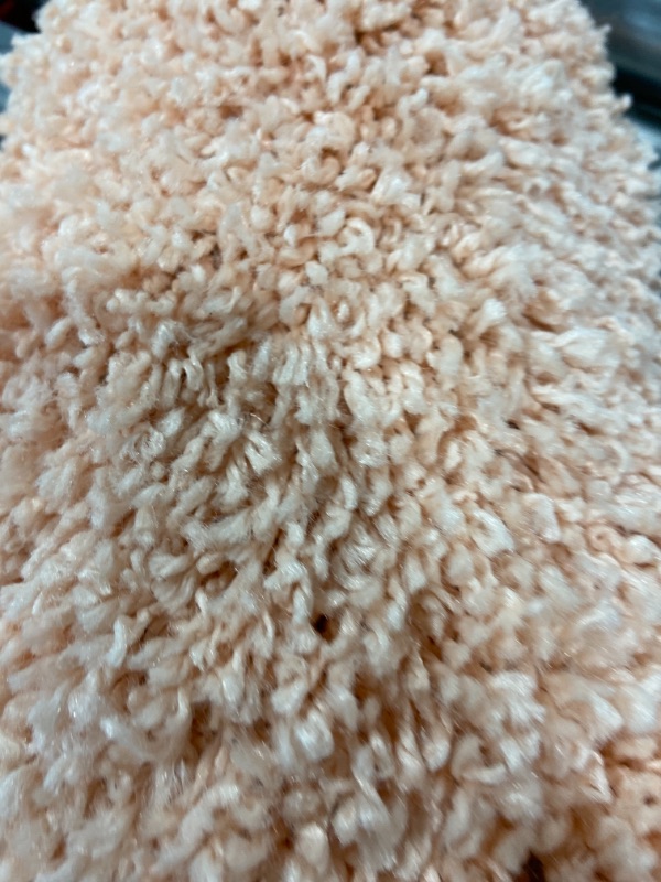 Photo 1 of 4'x6' Shag Rug