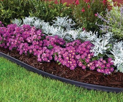 Photo 1 of Vigoro 20 ft. No-Dig Landscape Plastic Edging Kit