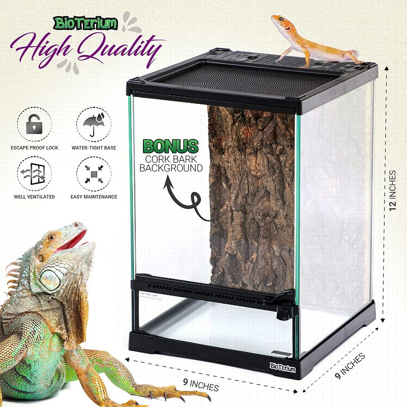 Photo 1 of BIOTERIUM Reptile Tank | 8x8x12 Inch Glass Tank for Reptiles | 13L (4 Gal) | with Cork Bark Background | Ideal to Use As Lizard Tank, Snake Cage, and Gecko Enclosure Kit
