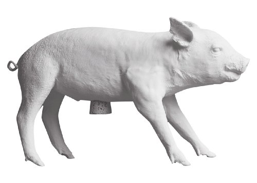 Photo 1 of Areaware Bank in The Form of a Pig, Matte White