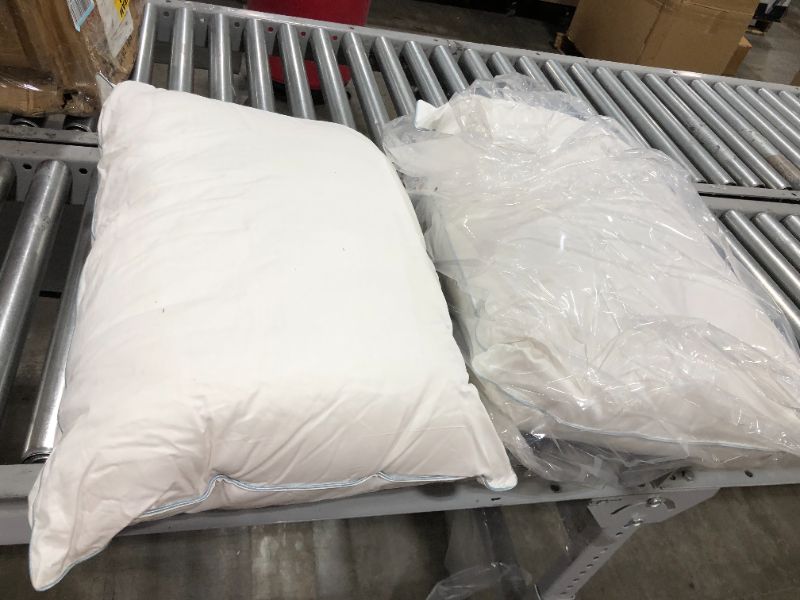 Photo 2 of 20x28 white pillows, 2 Pack