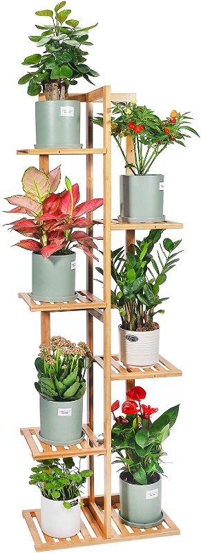 Photo 1 of  (1)  Gar-Life Bamboo Plant Stand Rack 6 Tier 7 Potted Indoor&Outdoor Multiple Stand Holder Shelf Rack Planter Display for Patio Garden, Living Room, Corner...  +   (1) INGIORDAR Plant Stand Metal 4 Tier 5 Potted Plant Rack Flower Pot Holder Shelves Stora