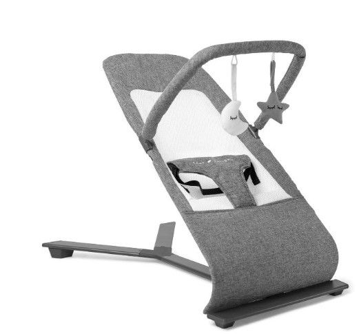 Photo 1 of Baby Delight Alpine Deluxe Portable Bouncer

