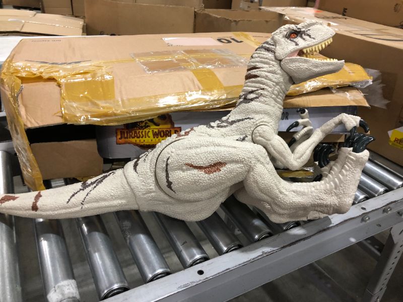 Photo 8 of Jurassic World Dominion Super Colossal Atrociraptor Action Figure, Extra Large Dinosaur Toy 37 Inches, Movable Joints & Stomach Release, 4 Years & Up