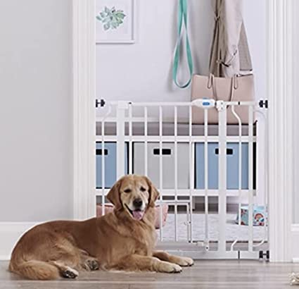 Photo 1 of Carlson Extra Wide Walk Through Pet Gate with Small Pet Door, Includes 4-Inch Extension Kit, Pressure Mount Kit and Wall Mount Kit