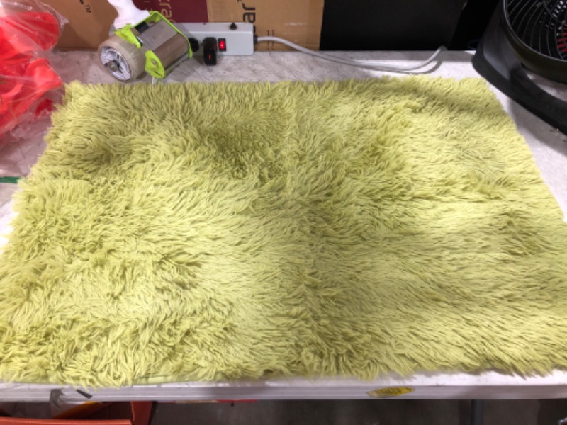 Photo 2 of 23x34" Lime Green Area Rug.