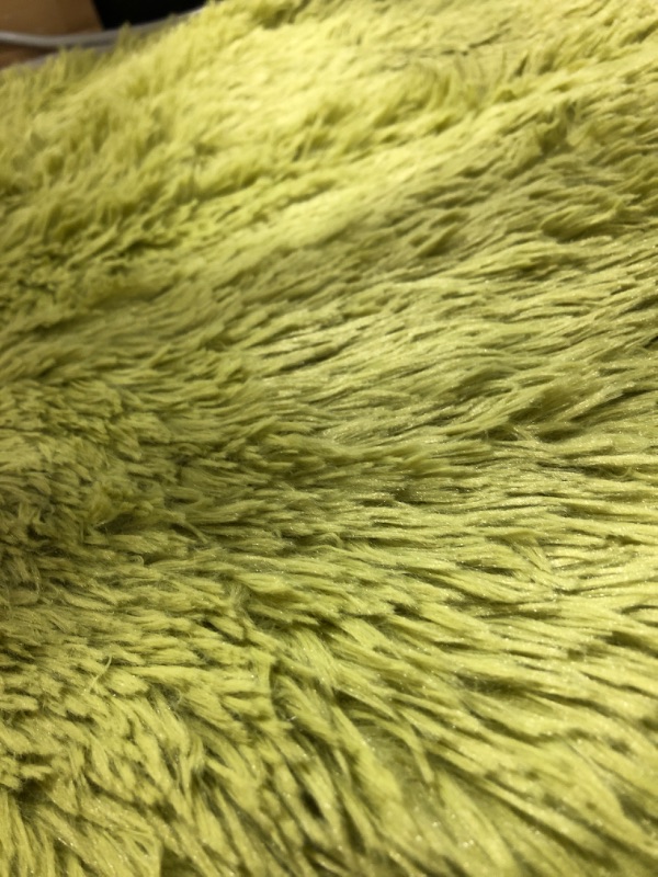 Photo 3 of 23x34" Lime Green Area Rug.