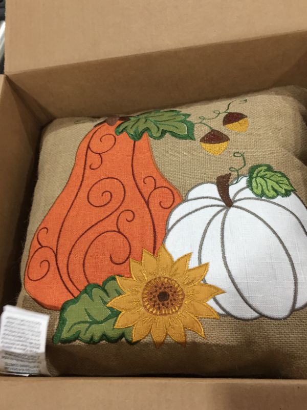 Photo 2 of 16.5"x16.5" Indoor Thanksgiving Pumpkins Square Throw Pillow - Pillow Perfect