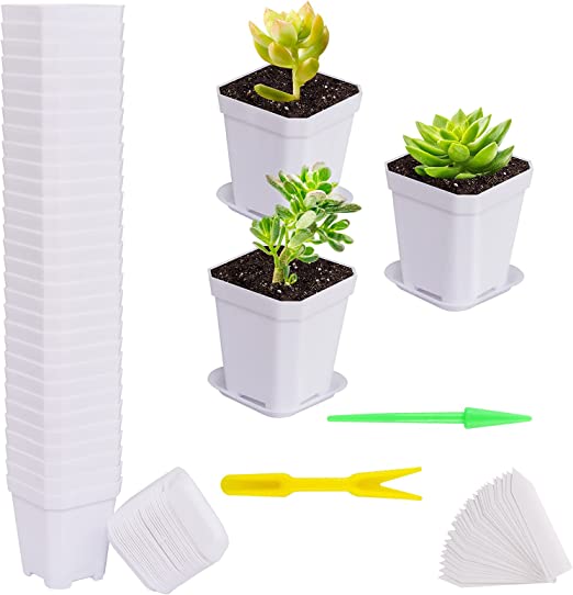 Photo 1 of 30-Pack Square Plastic Plant Pots with Drainage Holes, Mini Flower Pots Nursery Pots Plant Seedling Pots with Saucers and Plant Labels for Small Plants. (White)
