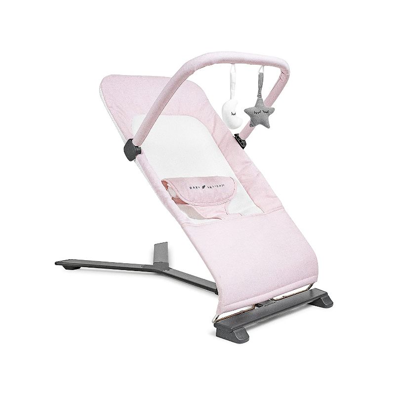 Photo 1 of Baby Delight Alpine Deluxe Portable Infant Bouncer - Peony Pink