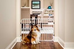 Photo 1 of Carlson Pet Products Expandable Metal Dog Gate White 38 L X 2 W X 24 H
