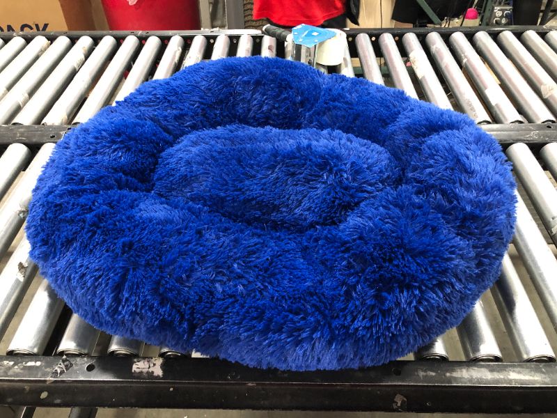 Photo 1 of 30 inch Blue Dog Bed 