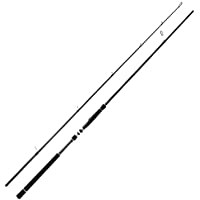 Photo 1 of Berrypro Light Surf Spinning Rod Striper Fishing Rod Striped Bass surf Rod (9'6")