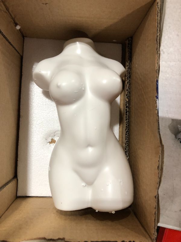 Photo 1 of AMITD Female body form vase for Flower, Sex Body Art Vase, Vases for Decor, Modern Boho Chic Home Decor 
