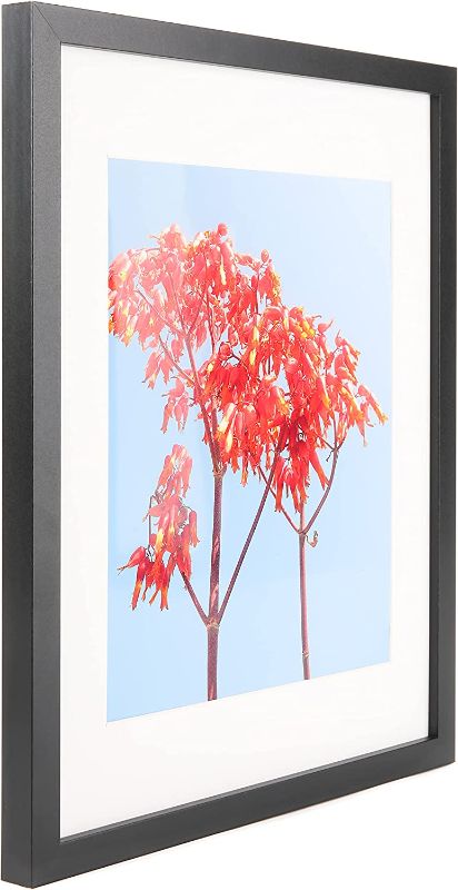 Photo 1 of Aynoo 11x14 Picture Frame Display Pictures 8x10 Picture Frame with Mat or 11x14 Without Mat, Wood Black Picture Frames 11x14 with Detachable Mat for 8x10 Wall Mounting Picture Photo Frames (WYG)
