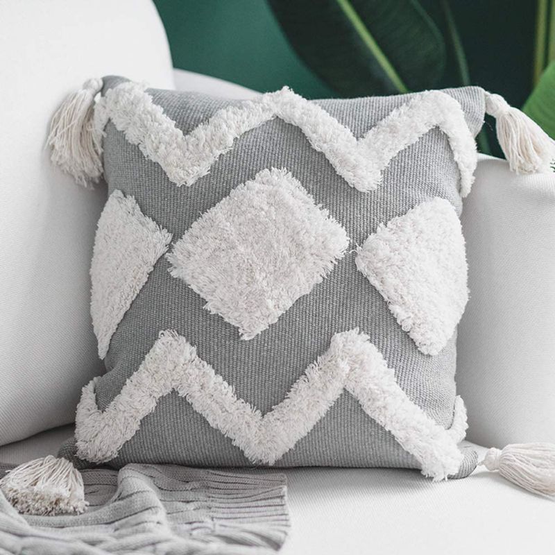 Photo 1 of Boho Neutral Decorative Pillow Cover with Tassel, 20 x 20 inches , Grey

