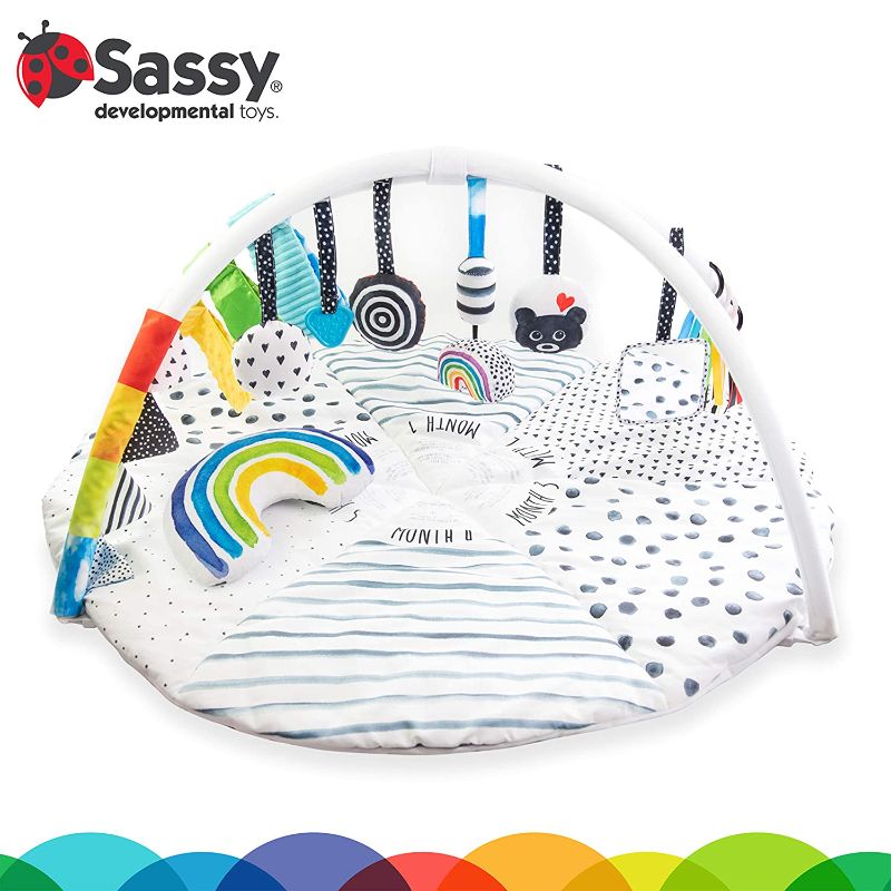 Photo 1 of Sassy Stages STEM Developmental Play Gym, Sensory Tummy Time Activity Play Mat w/Built-in Instructions, Ultra Plush & Machine Washable Playmat for Babies & Toddlers
