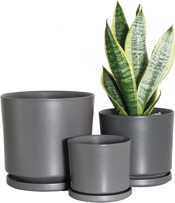 Photo 1 of Buyaround Plant Pots, Ceramic Planters Indoor, Modern Grey Flower Pots with Drainage Hole and Saucer, Set of 3 (5.9 + 7.6 + 9.2 Inch)

