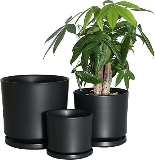 Photo 1 of Buyaround Plant Pots, Ceramic Planters Indoor, Modern Black Flower Pots with Drainage Hole and Saucer, Set of 3 (5.9 + 7.6 + 9.2 Inch)
