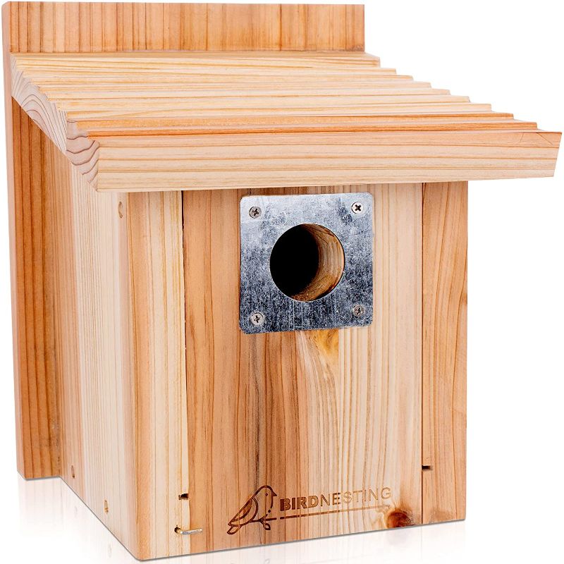 Photo 1 of BIRDNESTING Bird House - Premium Fir Wood Sturdy Bird Nesting Box - Raw Linseed Oil Coated Wood Birdhouse with Metal Predator Guard - Hanging Bird House with Pre-Drilled Holes - Large Nesting Area

