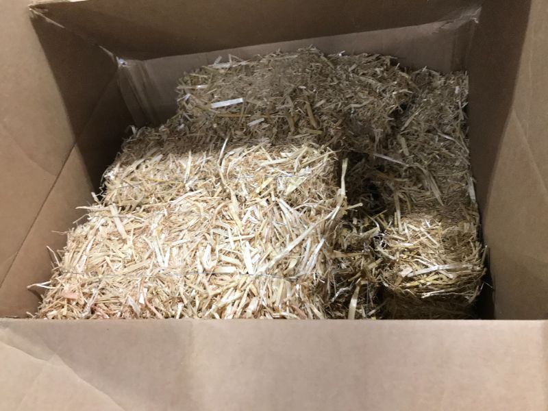 Photo 1 of Cereal Straw Substrate Preparation
