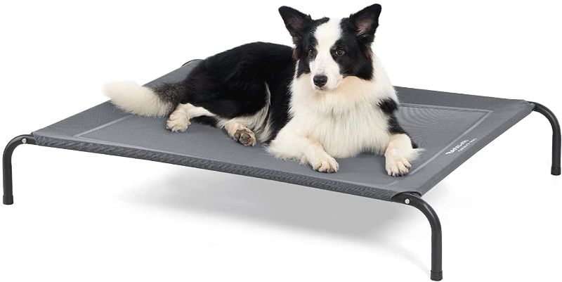 Photo 1 of  Elevated Dog Bed [28"x22"]