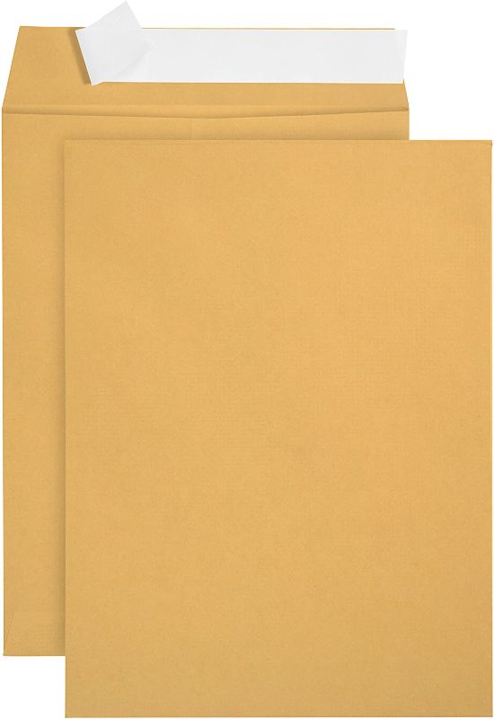 Photo 1 of 100 6 x 9 Self Seal Golden Brown Kraft Catalog Envelopes - Oversize 6 x 9 Envelope Peel and Seal Flap - Printer Friendly Design - 100 Count
