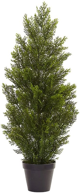 Photo 1 of 3ft. Mini Cedar Pine Tree (Indoor/Outdoor)
