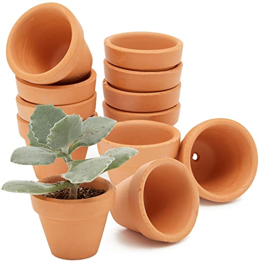 Photo 1 of 7.1 INCHES 10 PCS SUCCULENTS PLASTIC PLANTERS, BROWN