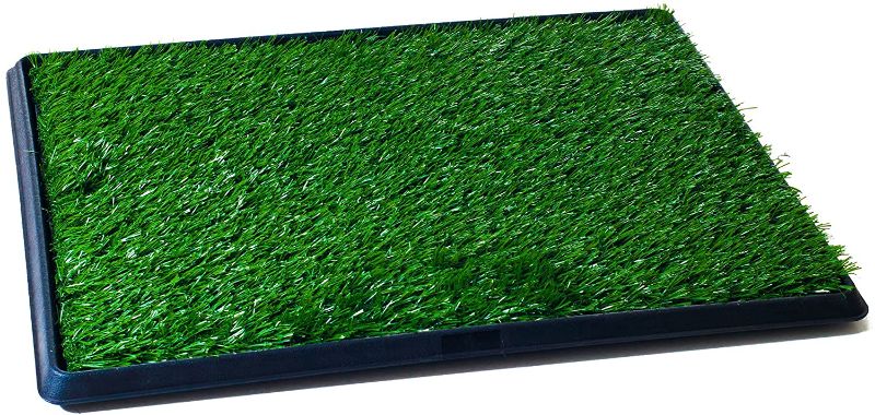 Photo 1 of Artificial Grass Puppy Pad for Dogs and Small Pets – Portable Training Pad with Tray – Dog Housebreaking Supplies by PETMAKER (16" x 20")