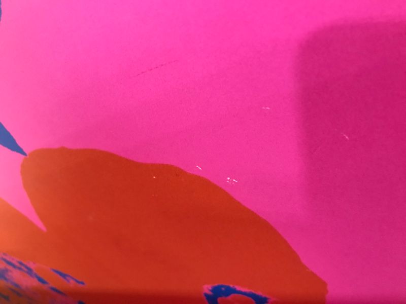 Photo 1 of Andy Warhol Flowers Decorative 36 X 36 Inches