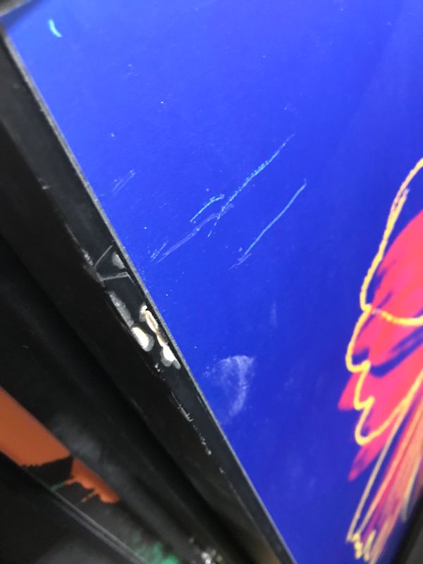 Photo 1 of McGraw Graphics Daisy Yellow  Pink Print Style Artwork Approx 34 x 34 Inches Framed in Black