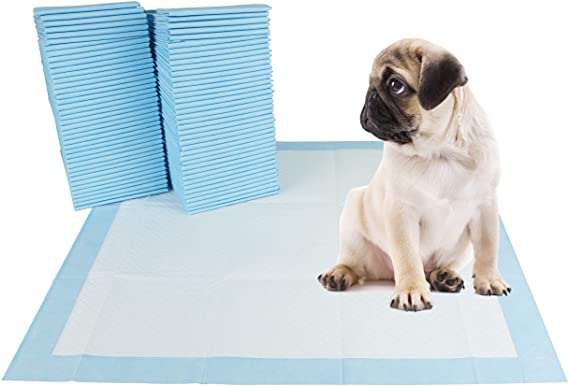 Photo 1 of 40pk of 20x20 Blue Training Dog Pads.