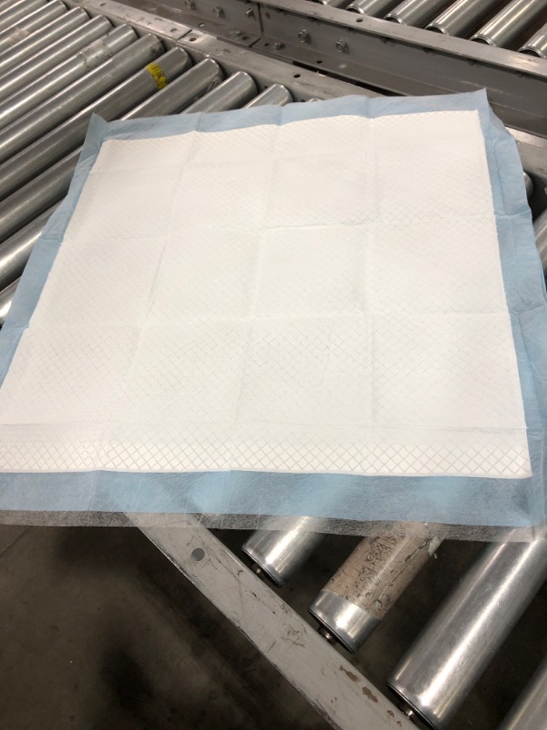 Photo 1 of 40pk of 20x20 Blue Training Dog Pads.