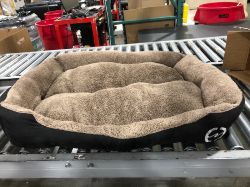 Photo 1 of 36x28in Brown Dog Bed