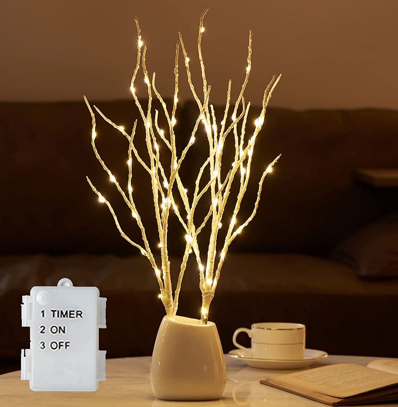 Photo 1 of Hairui Lighted Branches 18in 70 White Willow LED Battery Operated with Timer No Vase Included