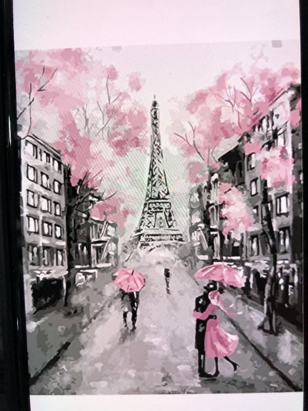 Photo 1 of Alto Crafto DIY Paint by Numbers Kit for Adults Pink Paris 20x16 3 Brushes Acrylic Paint 