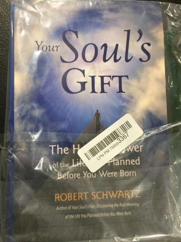 Photo 1 of 'Your Soul's Gift' By Robery Shwartz