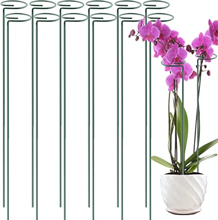 Photo 1 of 12 Pack 36 inch Plant Support Stakes ,Single Stem Plant Support Stake Single Plant Stem Garden Flower Support Stake Steel Plant Cage Support Ring for Orchid Gladiolus Iris Dahlia Amaryllis Rose Lily
