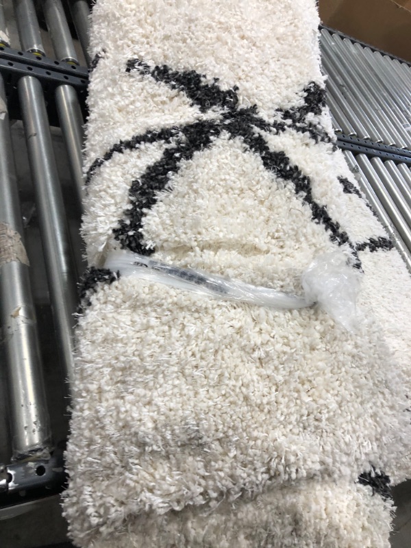 Photo 1 of 7*10ft White/Black Decorative Carpet