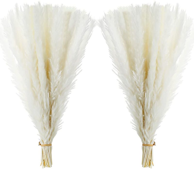 Photo 1 of 80 Pieces 17 Inches Pampas Grass Decor Dried Pampas Grass Artificial Pampas Grass Pampas Grass Tall Dried Flowers and Branches for Wedding Kitchen Home Decor (White), PACK OF THREE