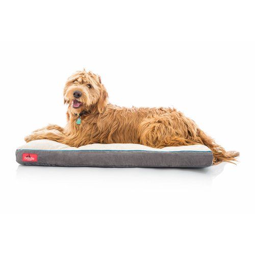 Photo 1 of Brindle Soft Memory Foam Dog Bed with Removable Washable Cover 40" x 26"