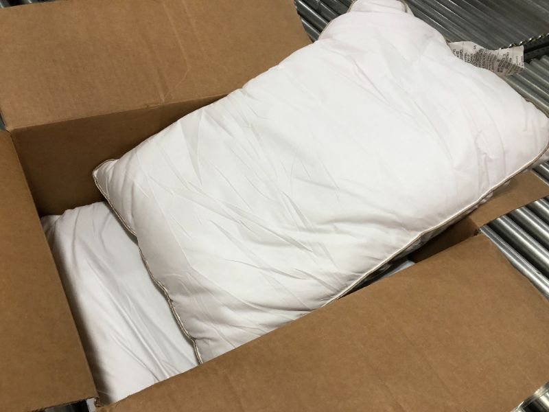 Photo 2 of 17 X 24 INCH BED PILLOWS, 2 PACK