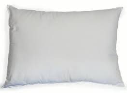 Photo 1 of 17 X 24 INCH BED PILLOWS, 2 PACK