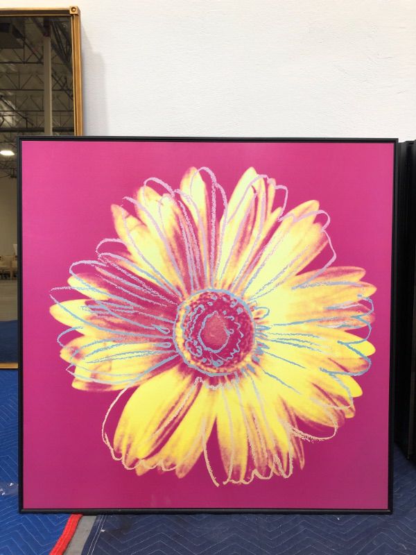 Photo 2 of Andy Wrahole Daisy Crimson and Pink 34 X 34 Inches