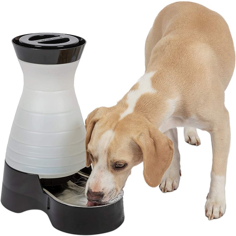 Photo 1 of  PetSafe Healthy Pet Water Station, Dog and Cat Water System with Stainless Steel

