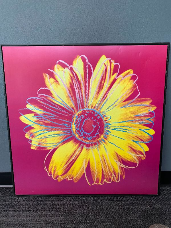 Photo 2 of Andy Wrahole Daisy Crimson and Pink 34 X 34 Inche