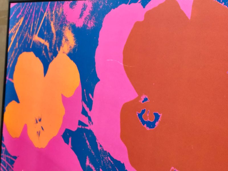 Photo 6 of Andy Warhol Flowers Decorative 36 X 36 Inches